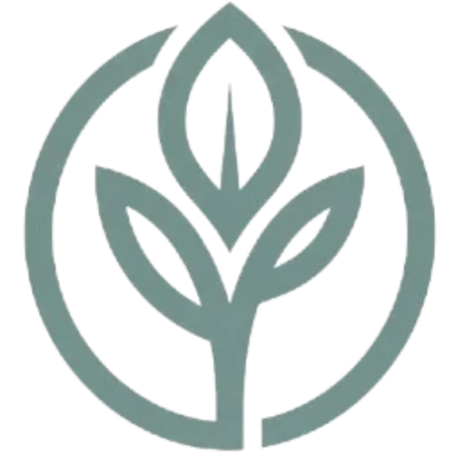 Wholesome Fit Routine